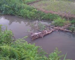 JAGA SUNGAI MU, MAKA SUBUR SAWAH M