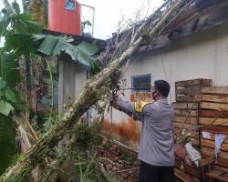 Hujan Deras Disertai Angin di Bojongsa