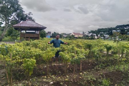 PERAN PETANI MILENIAL DALAM PENGOL