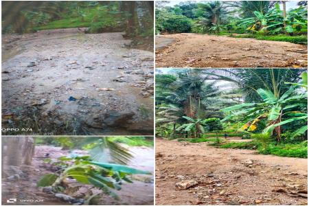 Aktivis Tokoh Dan Masyarakat Bayah Kon