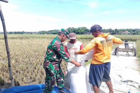 Babinsa Sukorejo Koramil 080809 Sutoja